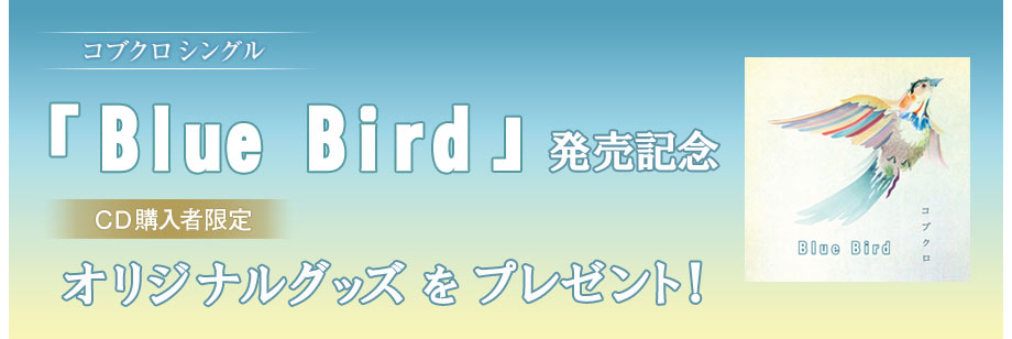 コブクロ シングル「Blue Bird」発売記念